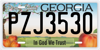 GA license plate PZJ3530