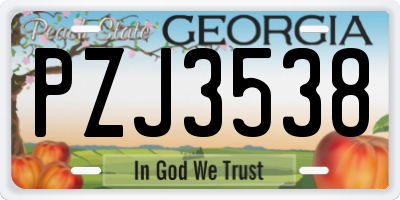 GA license plate PZJ3538