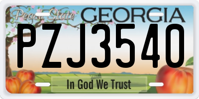 GA license plate PZJ3540