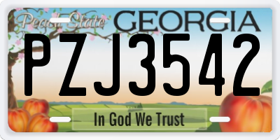 GA license plate PZJ3542