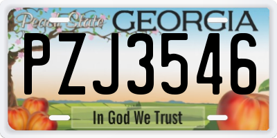 GA license plate PZJ3546