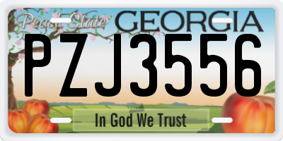 GA license plate PZJ3556