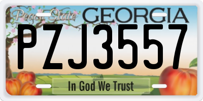GA license plate PZJ3557