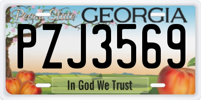 GA license plate PZJ3569