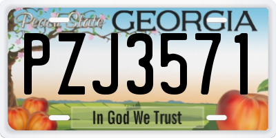 GA license plate PZJ3571