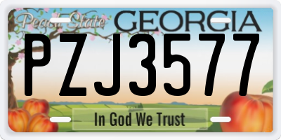 GA license plate PZJ3577