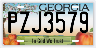 GA license plate PZJ3579