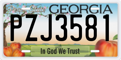 GA license plate PZJ3581