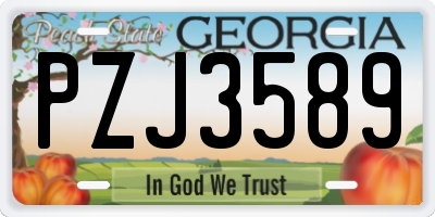 GA license plate PZJ3589