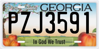 GA license plate PZJ3591