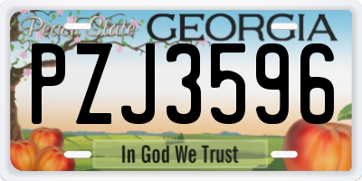 GA license plate PZJ3596