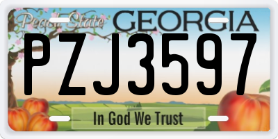 GA license plate PZJ3597