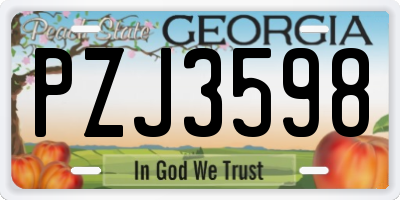 GA license plate PZJ3598
