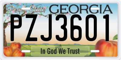 GA license plate PZJ3601