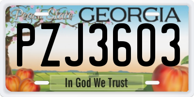 GA license plate PZJ3603