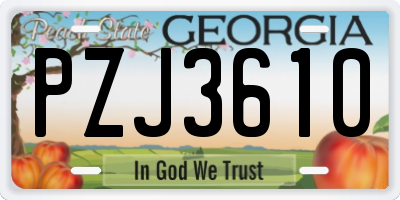 GA license plate PZJ3610
