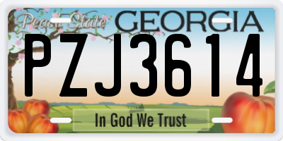 GA license plate PZJ3614