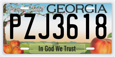 GA license plate PZJ3618