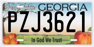 GA license plate PZJ3621