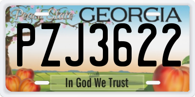 GA license plate PZJ3622