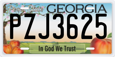 GA license plate PZJ3625