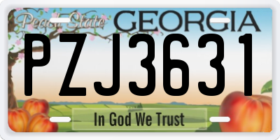 GA license plate PZJ3631