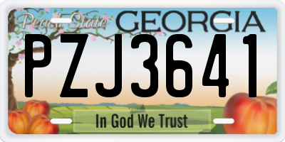 GA license plate PZJ3641
