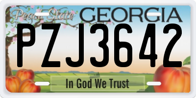 GA license plate PZJ3642
