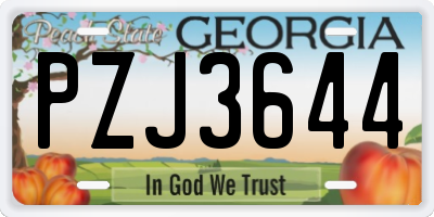GA license plate PZJ3644
