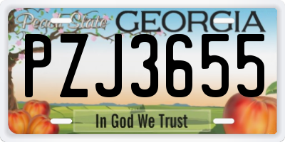 GA license plate PZJ3655