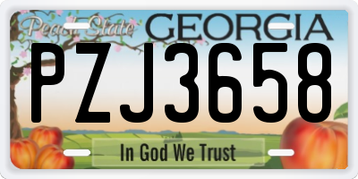 GA license plate PZJ3658
