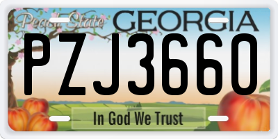GA license plate PZJ3660