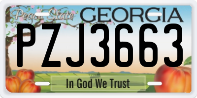 GA license plate PZJ3663