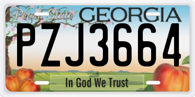 GA license plate PZJ3664