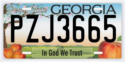 GA license plate PZJ3665