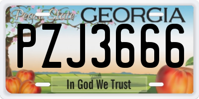 GA license plate PZJ3666