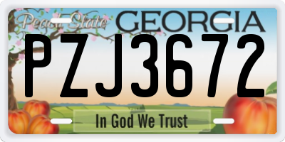 GA license plate PZJ3672