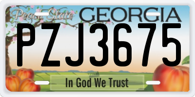 GA license plate PZJ3675