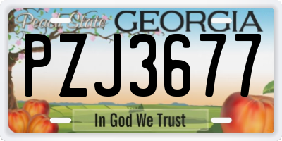 GA license plate PZJ3677
