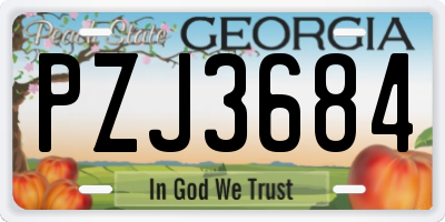 GA license plate PZJ3684