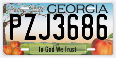 GA license plate PZJ3686