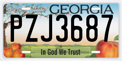 GA license plate PZJ3687