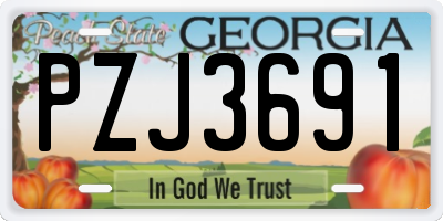 GA license plate PZJ3691