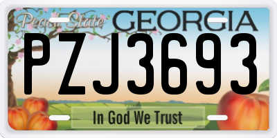 GA license plate PZJ3693