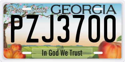 GA license plate PZJ3700