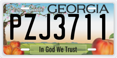 GA license plate PZJ3711