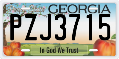 GA license plate PZJ3715