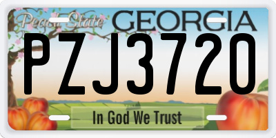GA license plate PZJ3720
