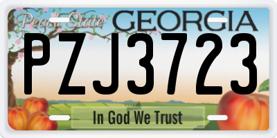 GA license plate PZJ3723