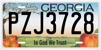 GA license plate PZJ3728